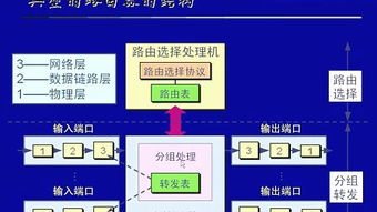 网络工程师在网络文化传播中的角色与影响