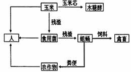 食物链加环技术在生态工程中的应用与效益分析